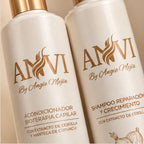 COMBO REPARACIÓN ANVI